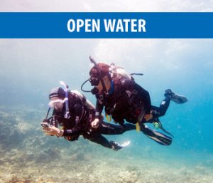 Open Water Diving