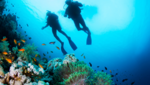 Local Scuba Diving in DFW