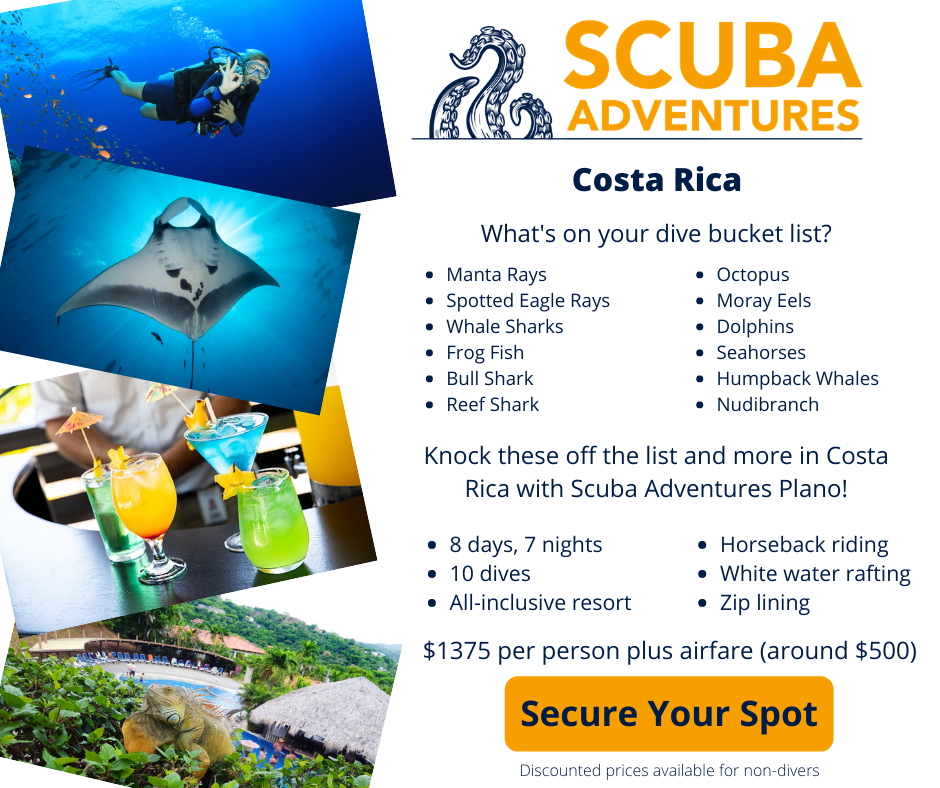 Scuba Diving Costa Rica