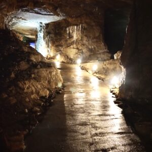 IMG_0021