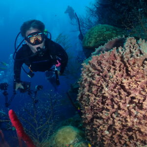 Belize Scuba Diving