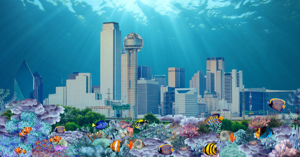 Dallas Scuba Certified