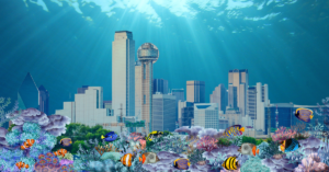 Dallas Scuba Certified