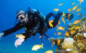 SDI Advanced Diver Package