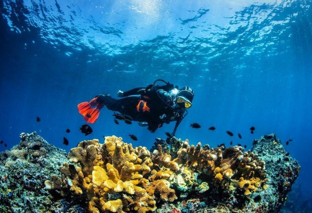 picture of a solo diver