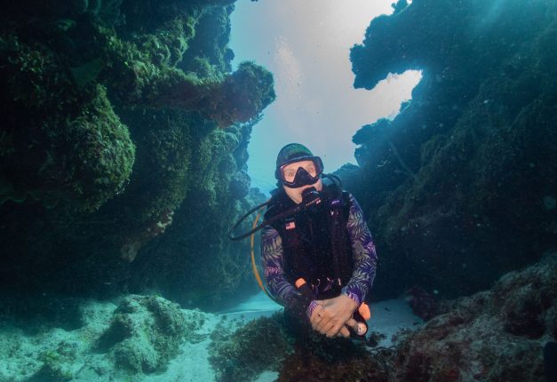 Gayle Cole - Underwater Navigation